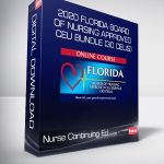 Nurse Continuing Ed - 2020 Florida Board of Nursing Approved CEU Bundle (30 CEUs)
